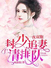 一夜双胎封少追妻请排队